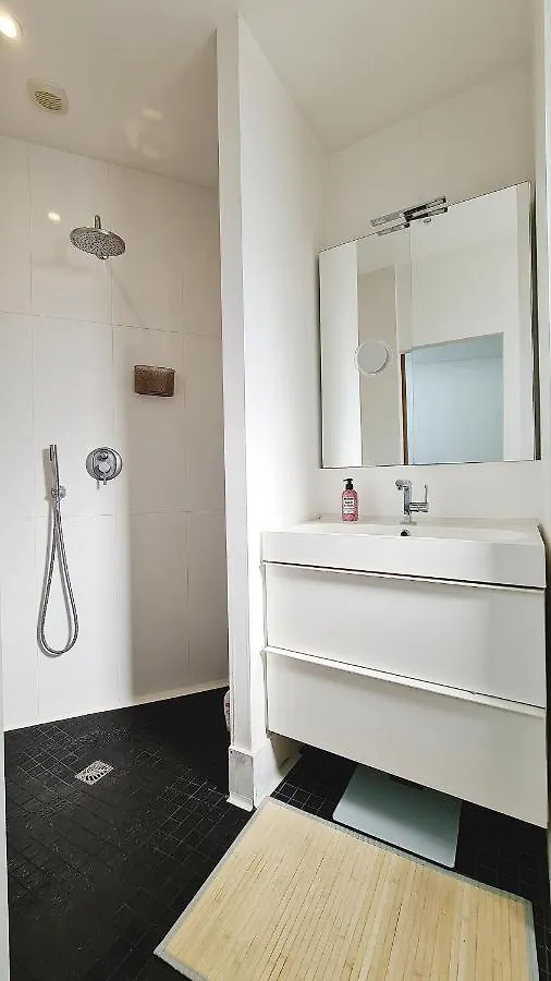 Esprit Loft Apartment Vannes